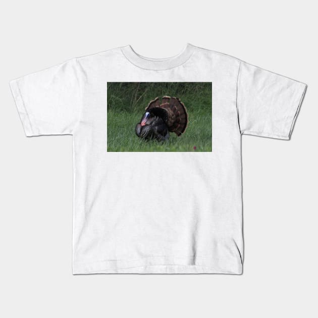 Spring Tom Turkey Strutting in green grass Kids T-Shirt by ROBERTDBROZEK